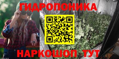 спиды Канаш