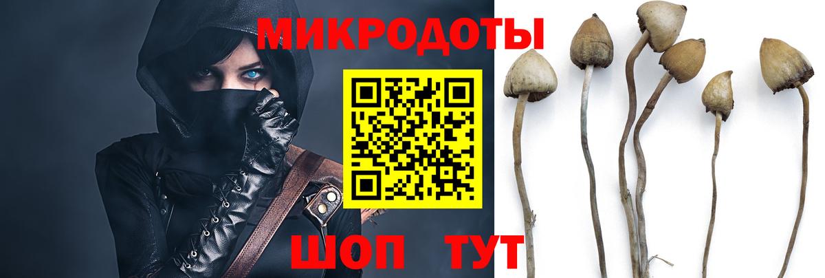 Галлюциногенные грибы прущие грибы Жигулёвск
